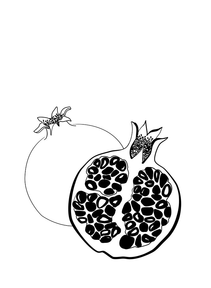 Line art pomegranates