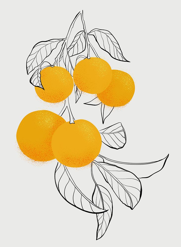 Mabel oranges