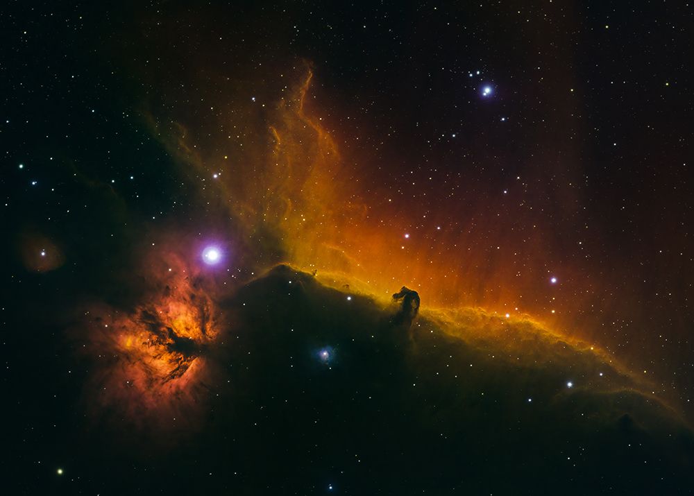 The Horsehead And Flame Nebulae