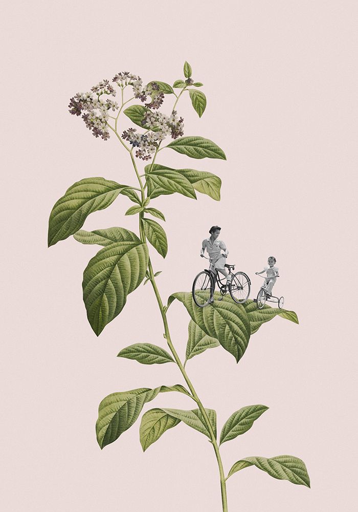 Botanical cycling