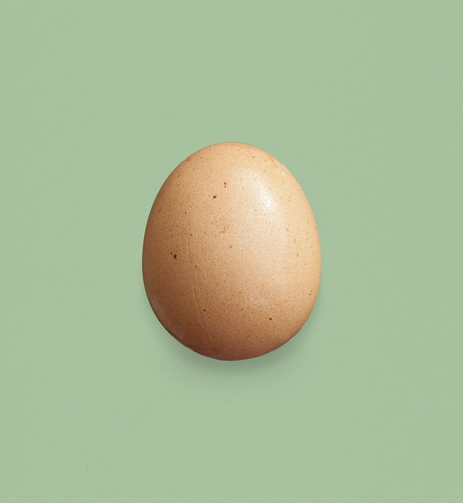 Just an Egg Main