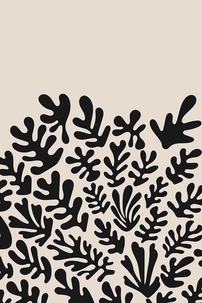 Henri Matisse Black Algae Collection #2