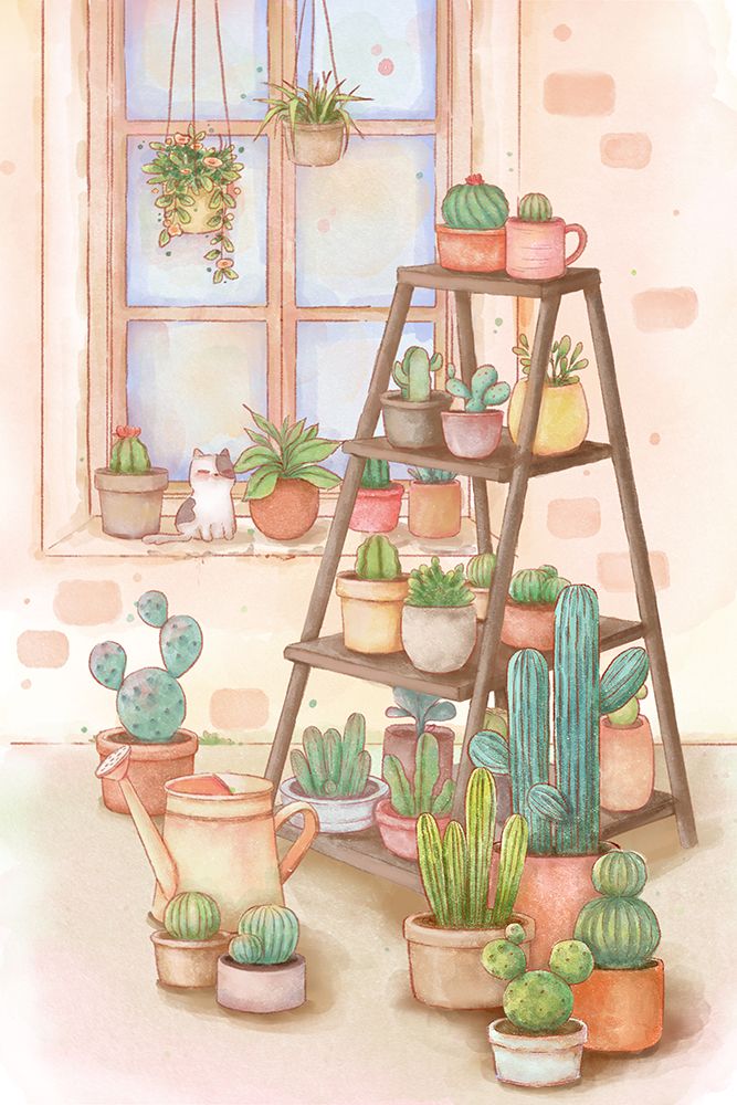 Outdoor cactus species 1