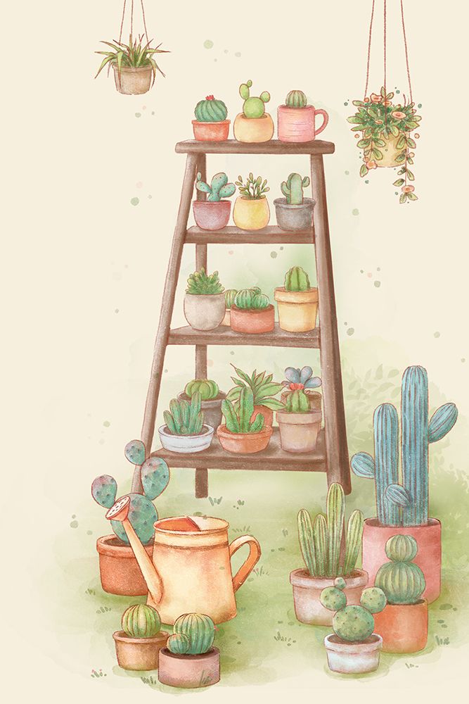 Outdoor cactus species 2