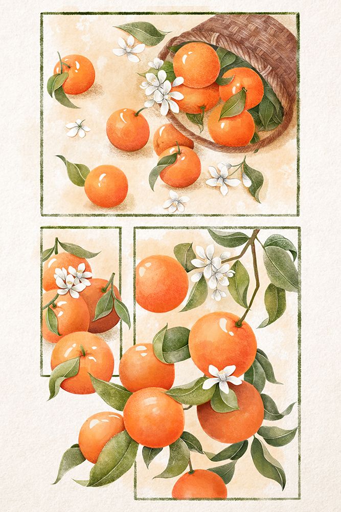 Orange Blossom Home