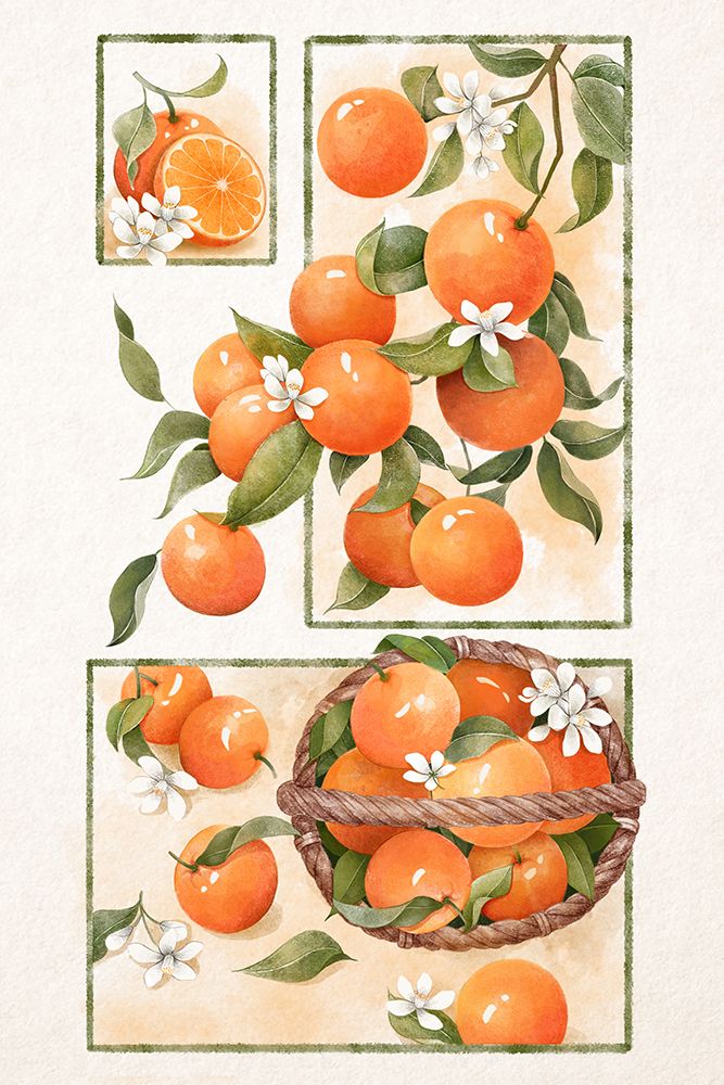 Orange Blossom Lock