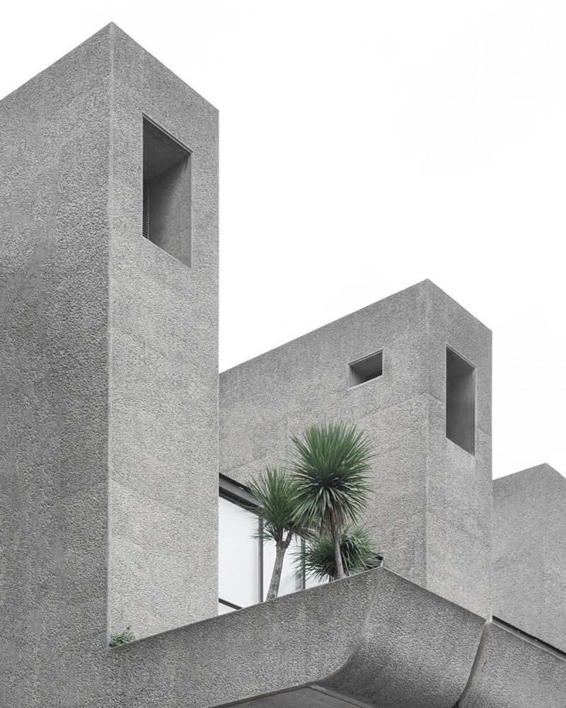 Lonely Palms No2