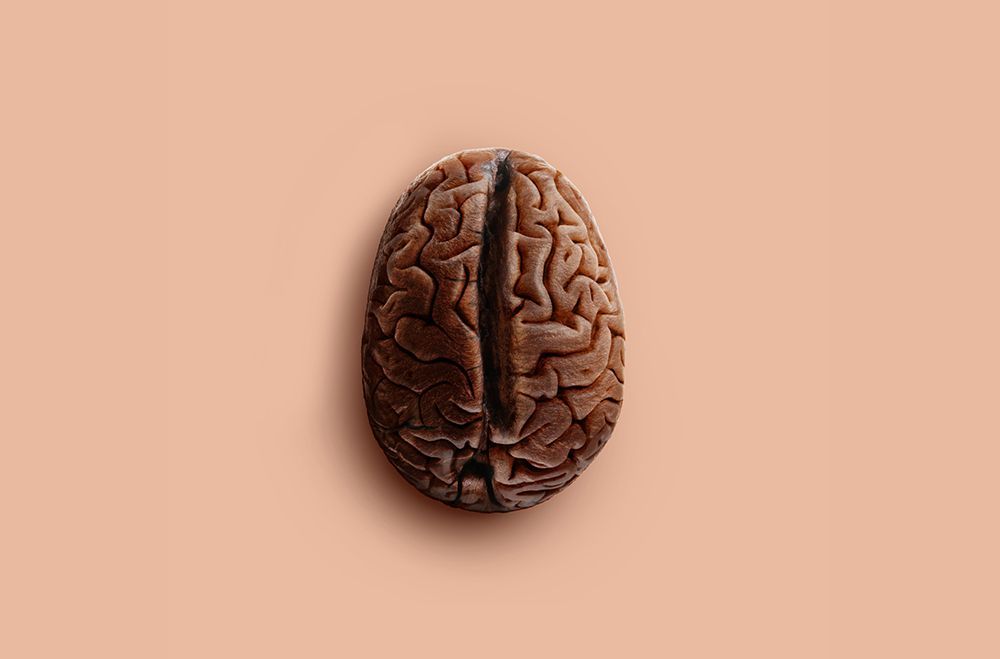 Brain Bean