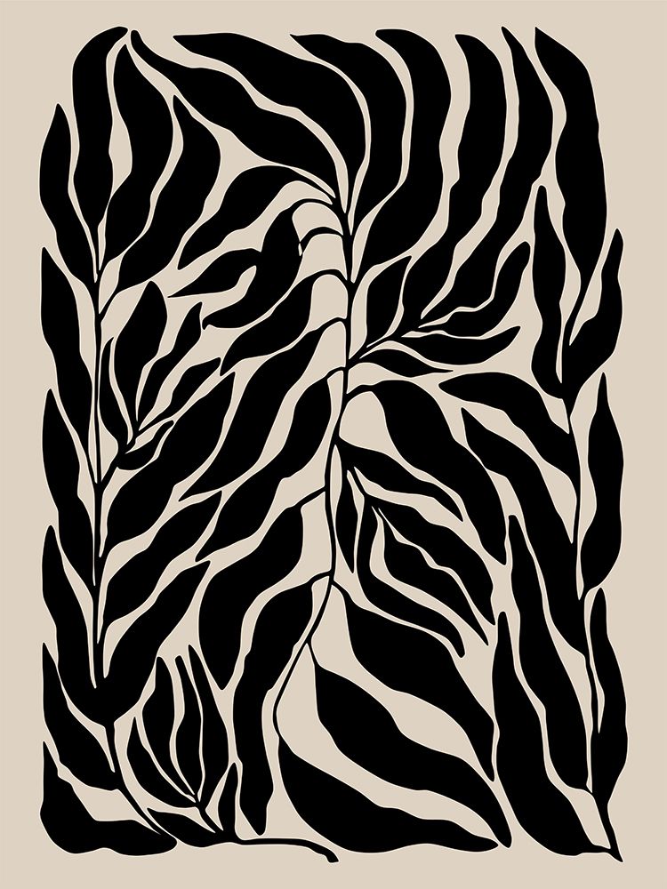 3X4 Aspectratiobotanical105