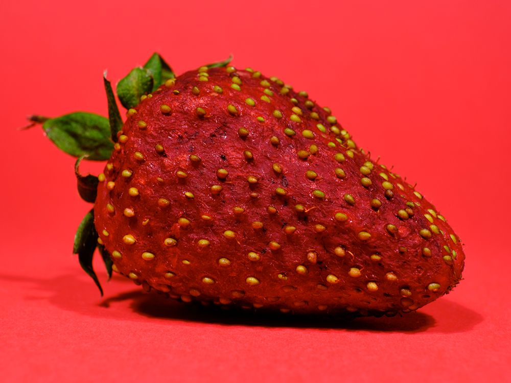 Strawberry Isolated On Red Background