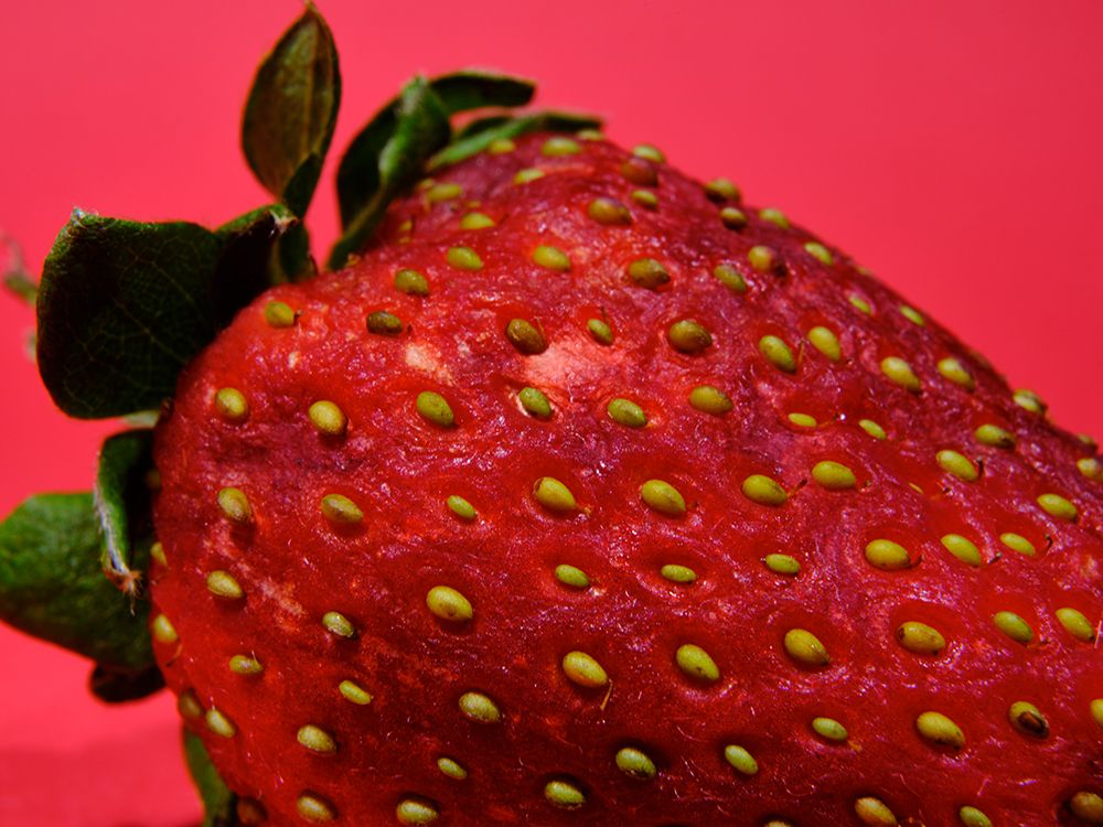 Strawberry Isolated On Red Background