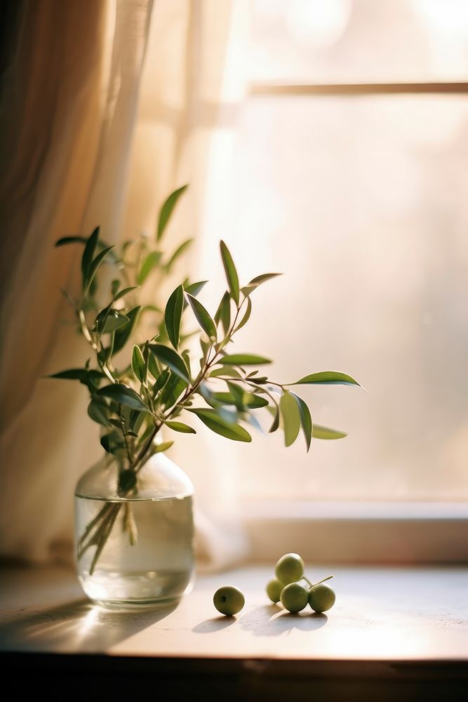 Olives By The Window