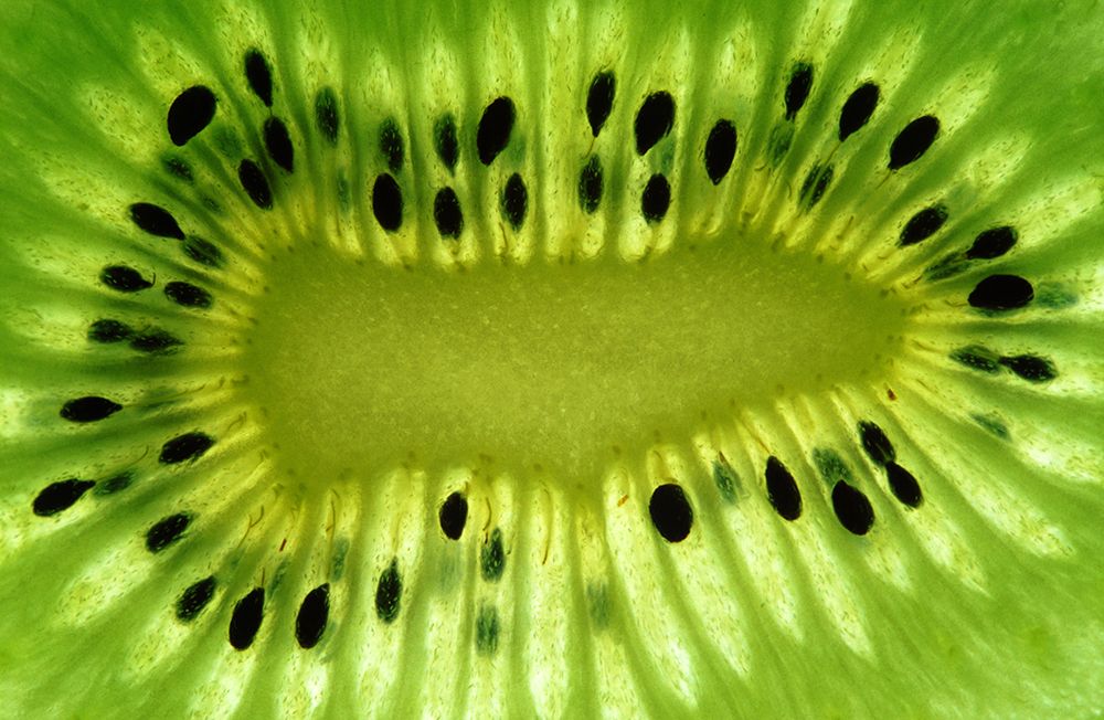 Kiwileaks