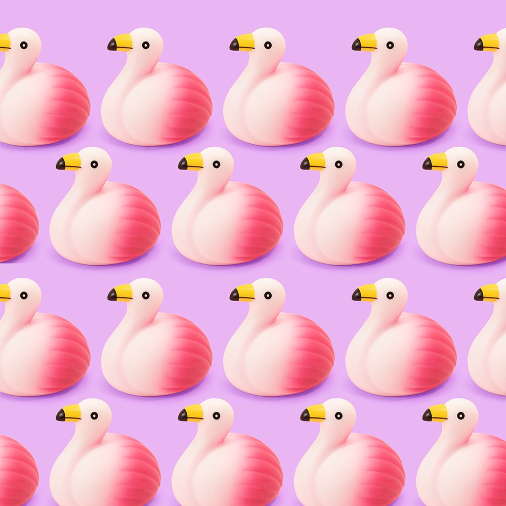 Flamencos.