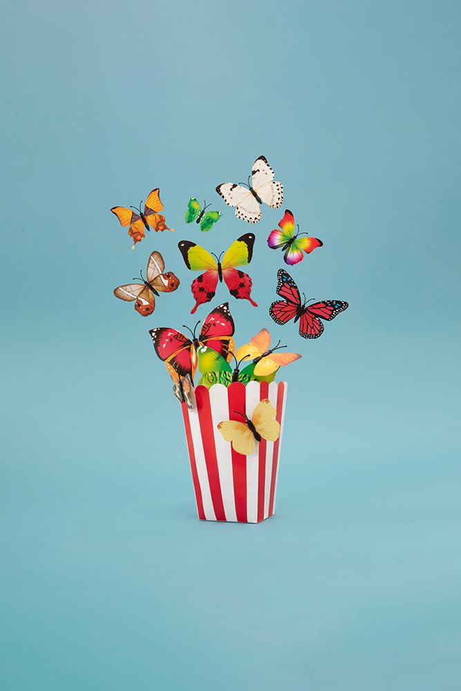 Popflies Case
