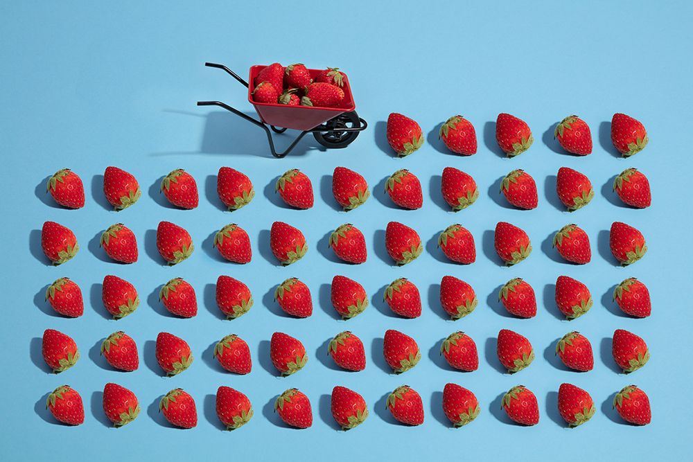 Fresas