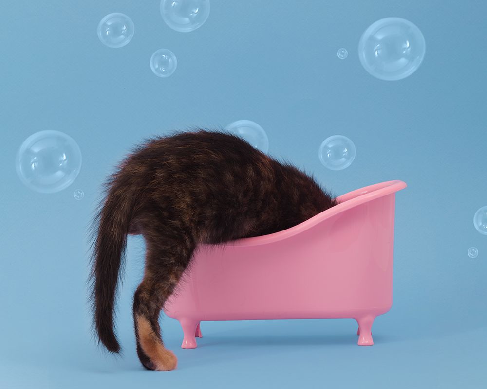 Bath Time4 5