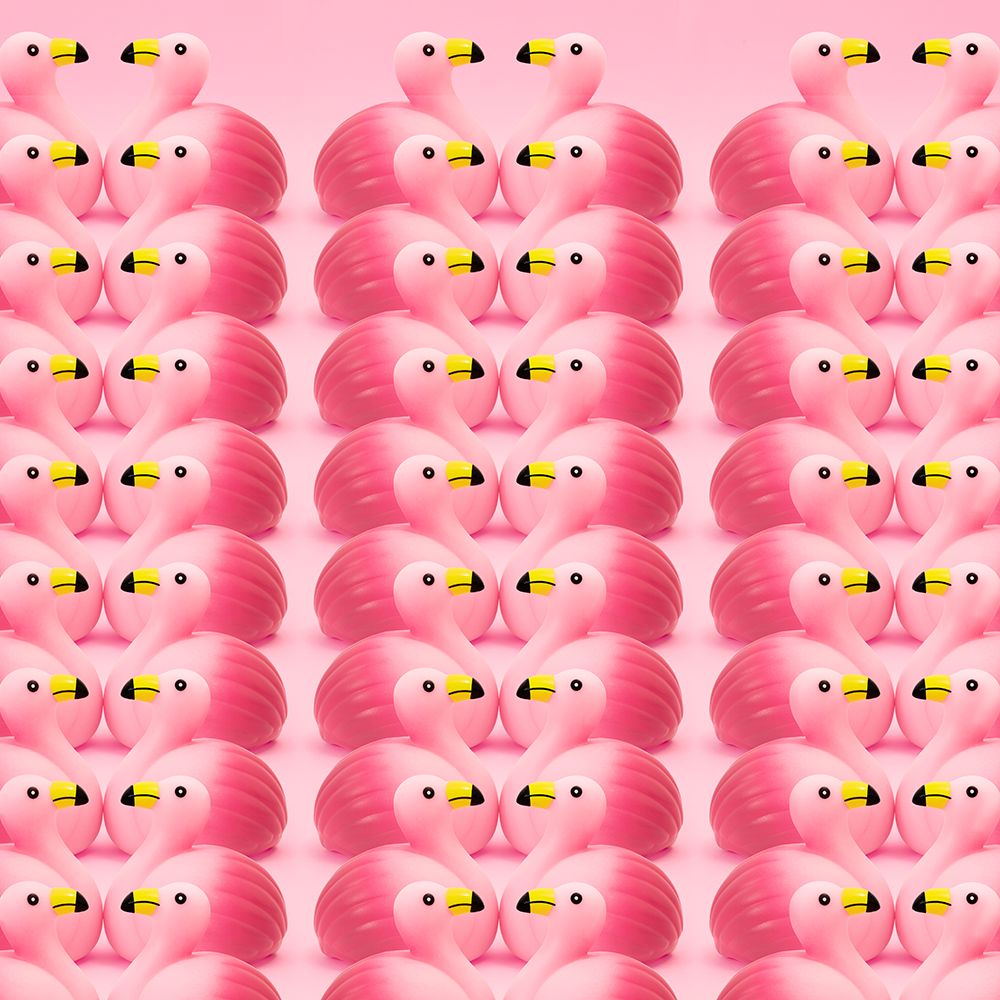 Flamencos.5