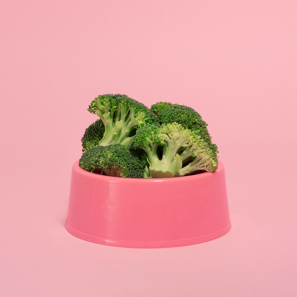 BroiÂColi.1