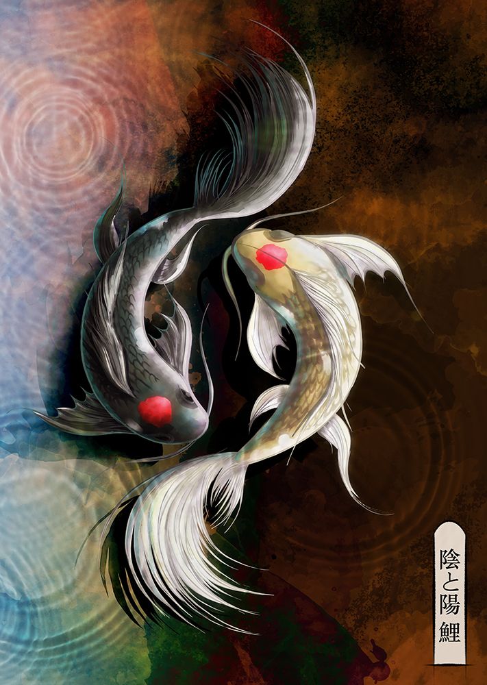 Dark Koi