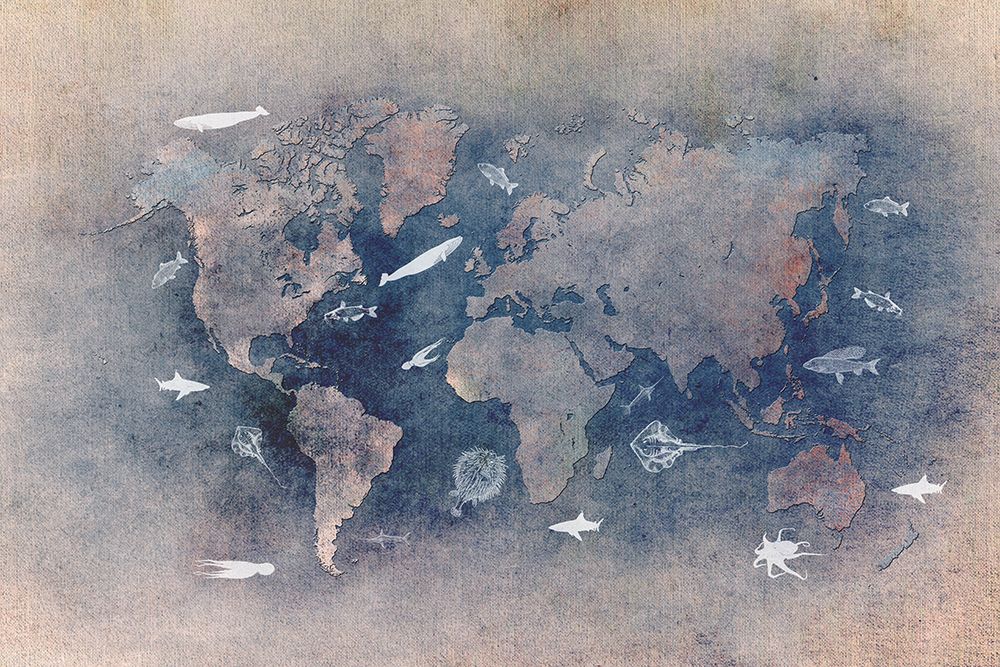 World Map 29