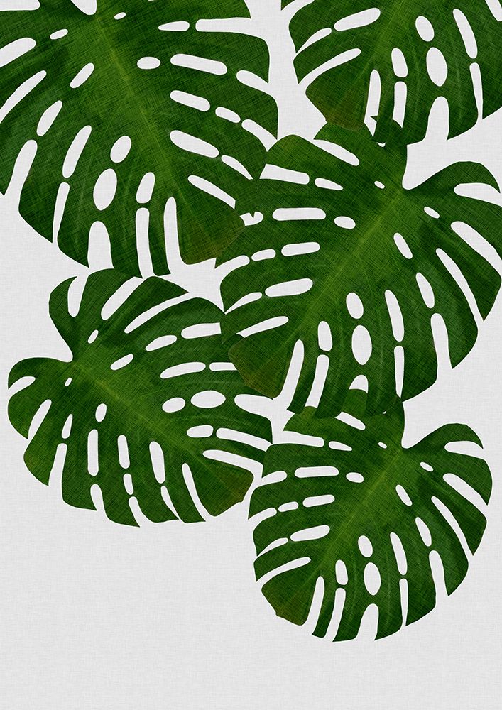 Monstera Leaf I