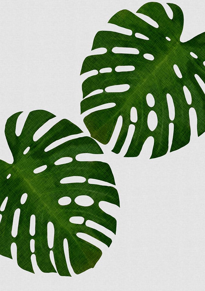 Monstera Leaf Ii