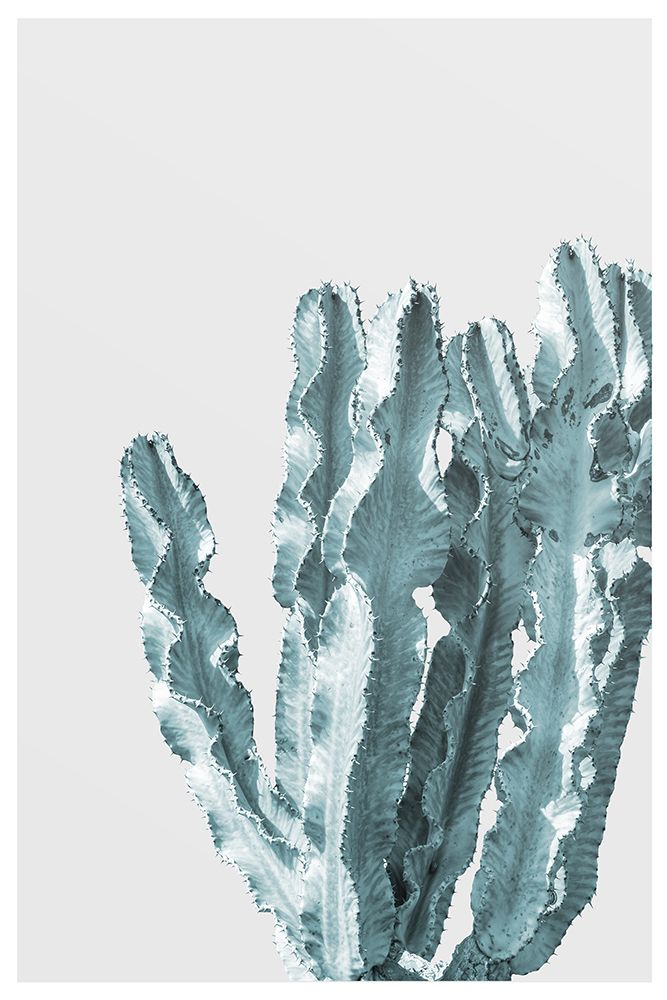 Boho Cactus No.2