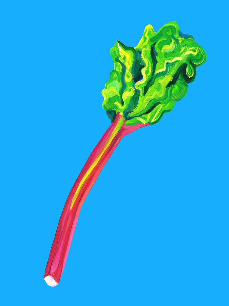 Rhubarb Light Blue
