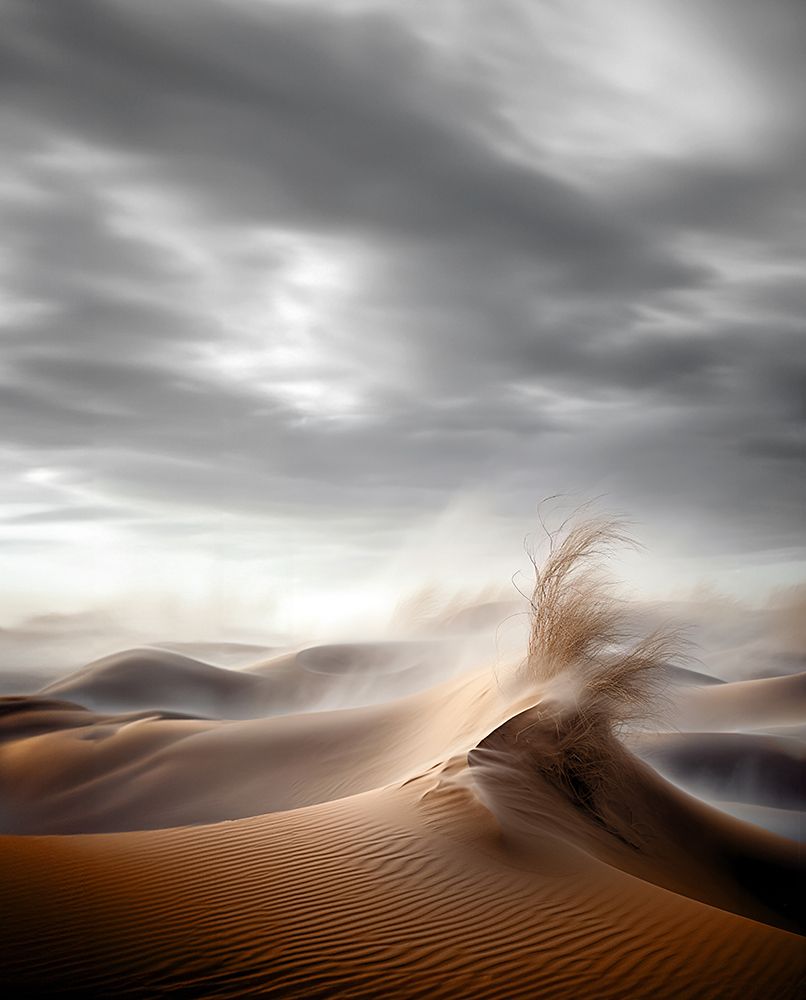 Desert Waves