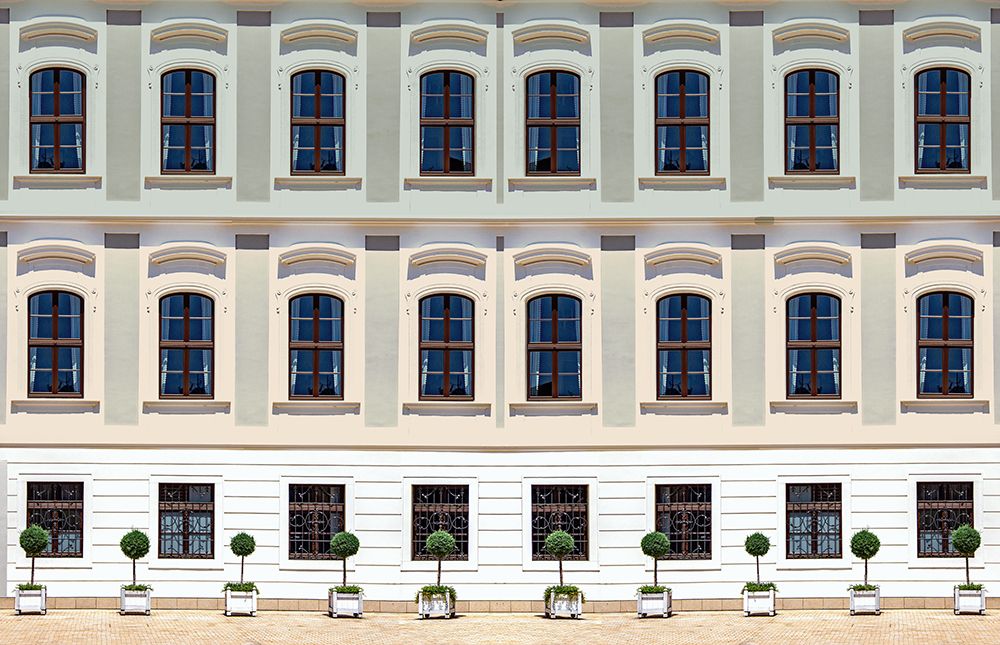 Old Window Facade