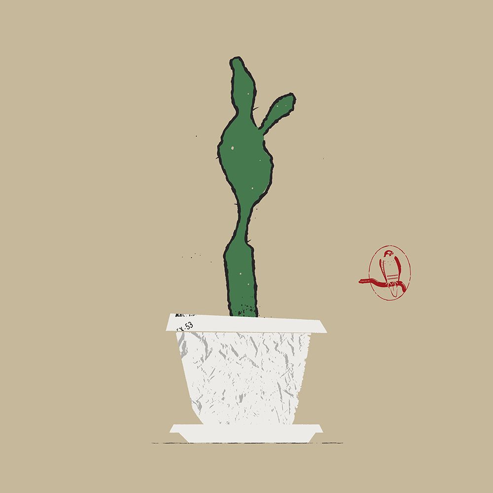 Cactus