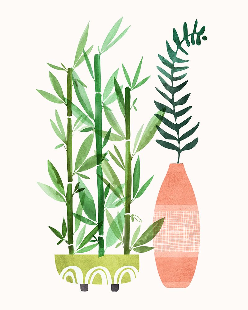 Bamboo and Fern