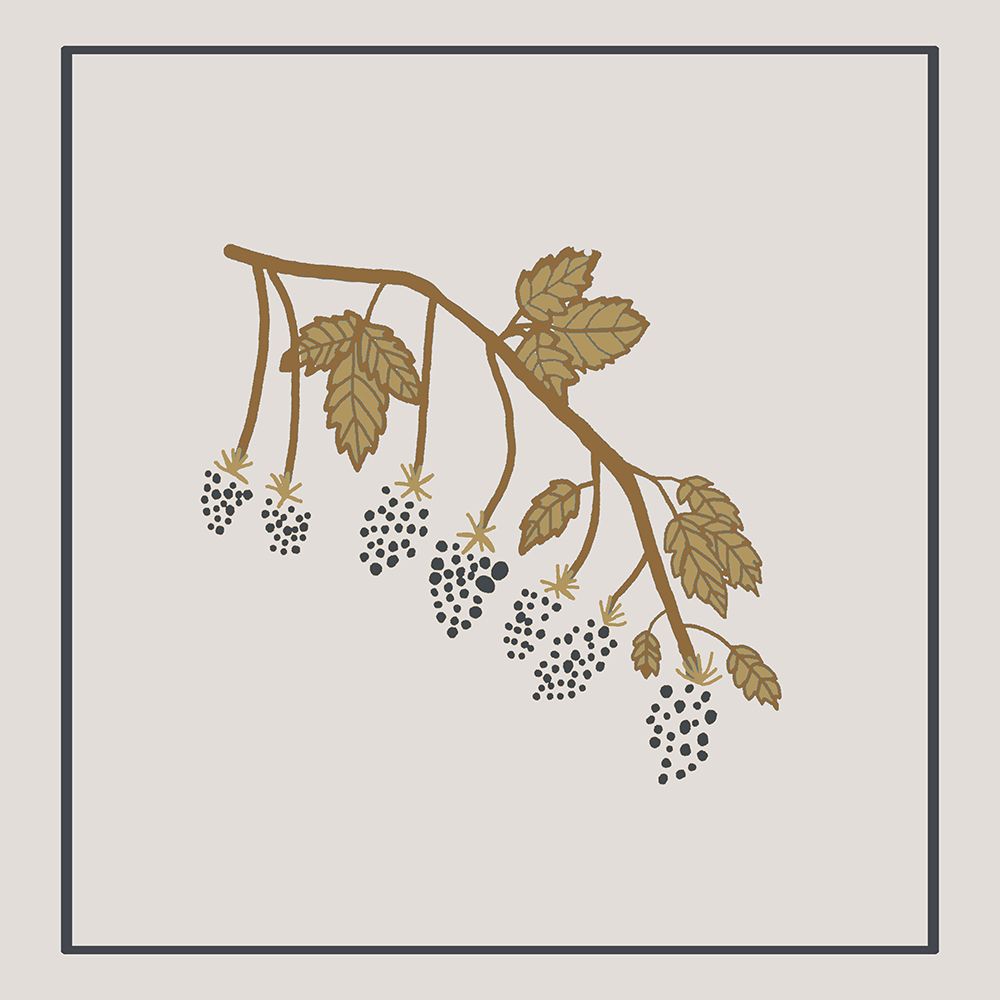 Blackberry Spring
