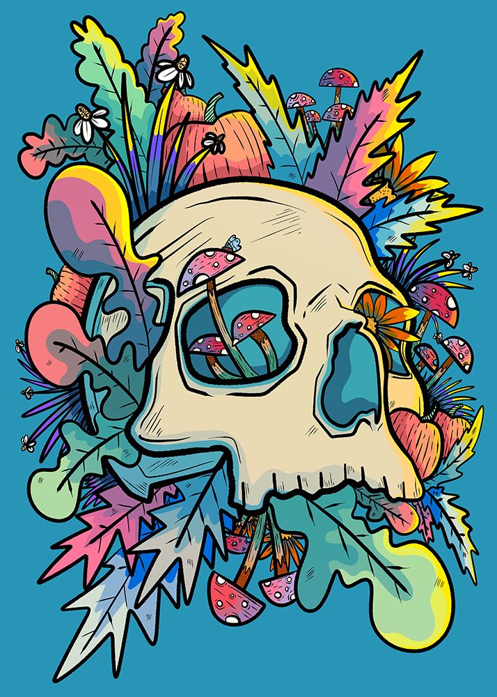 Mushrooms and the Colourful Skull