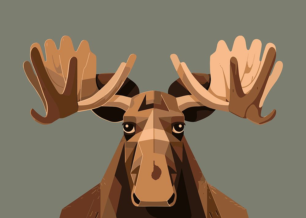 Staring Moose