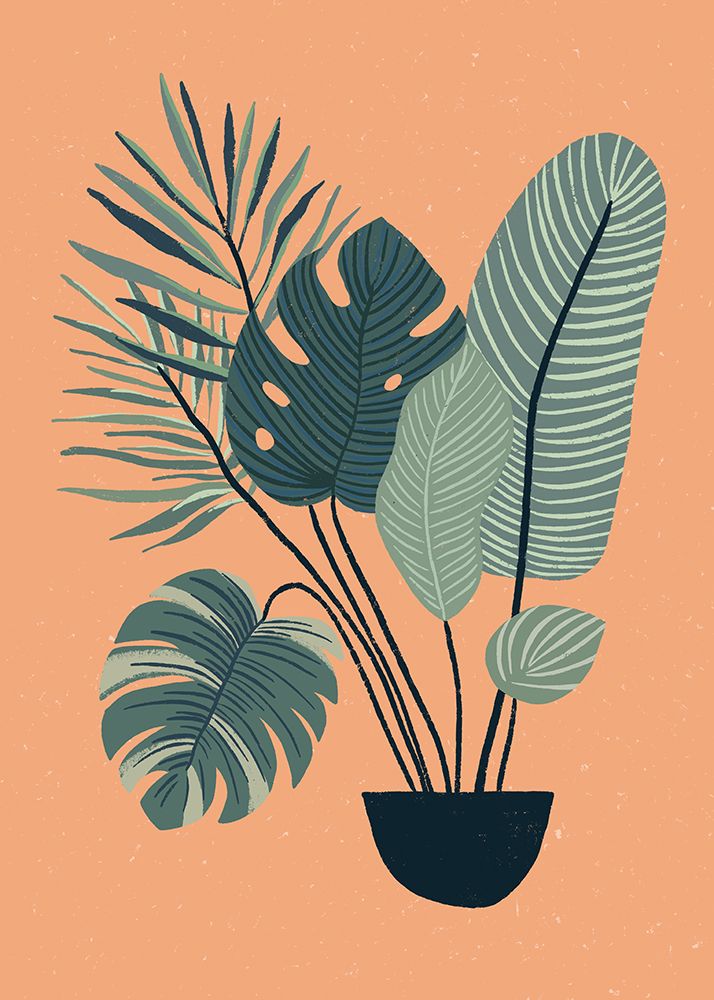 Cats and Plants 02