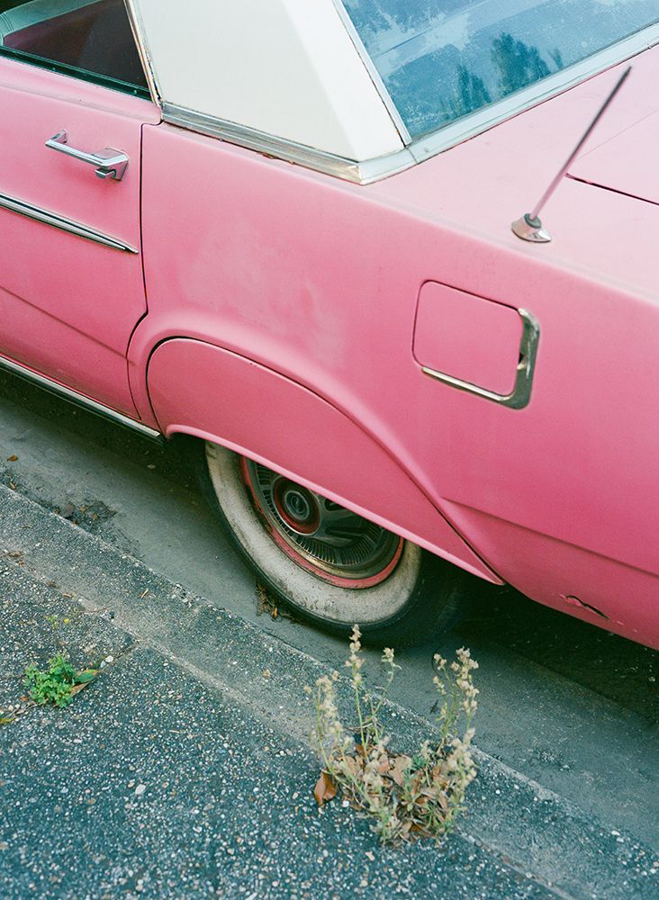 New Orleans Ride X