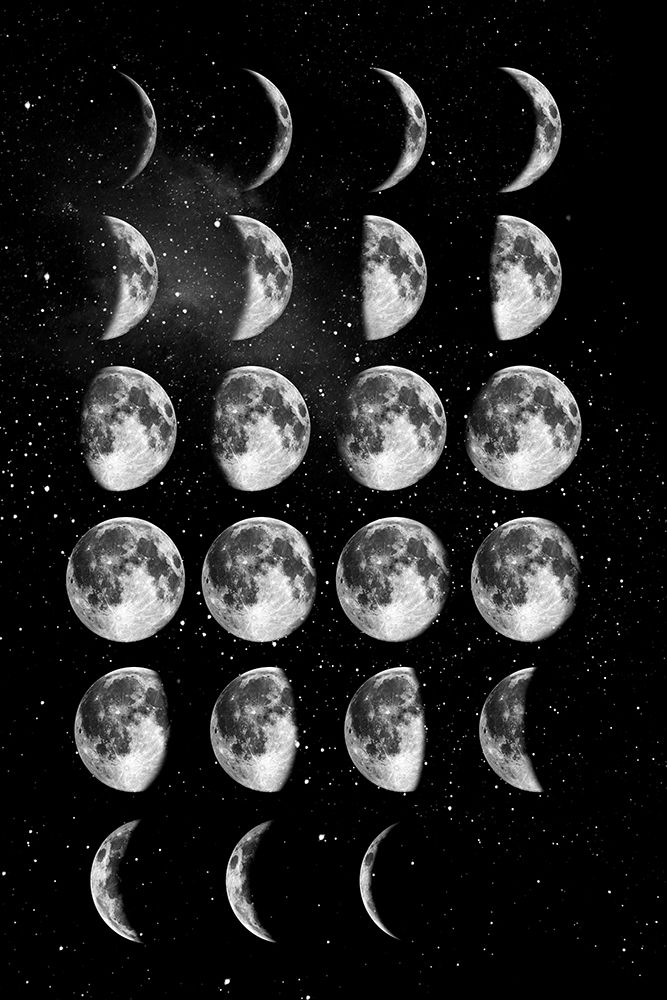 Full Moon Cycle