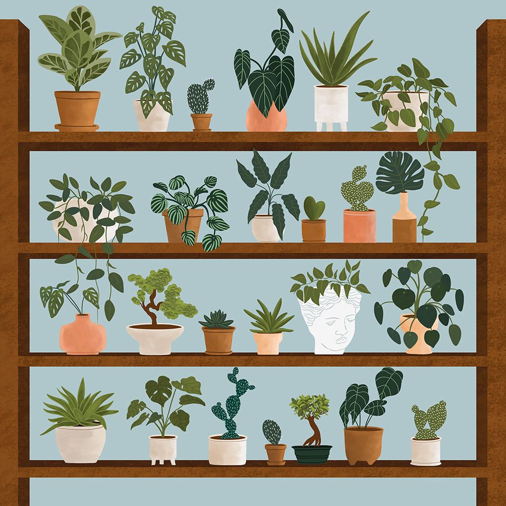 Plant Shelves