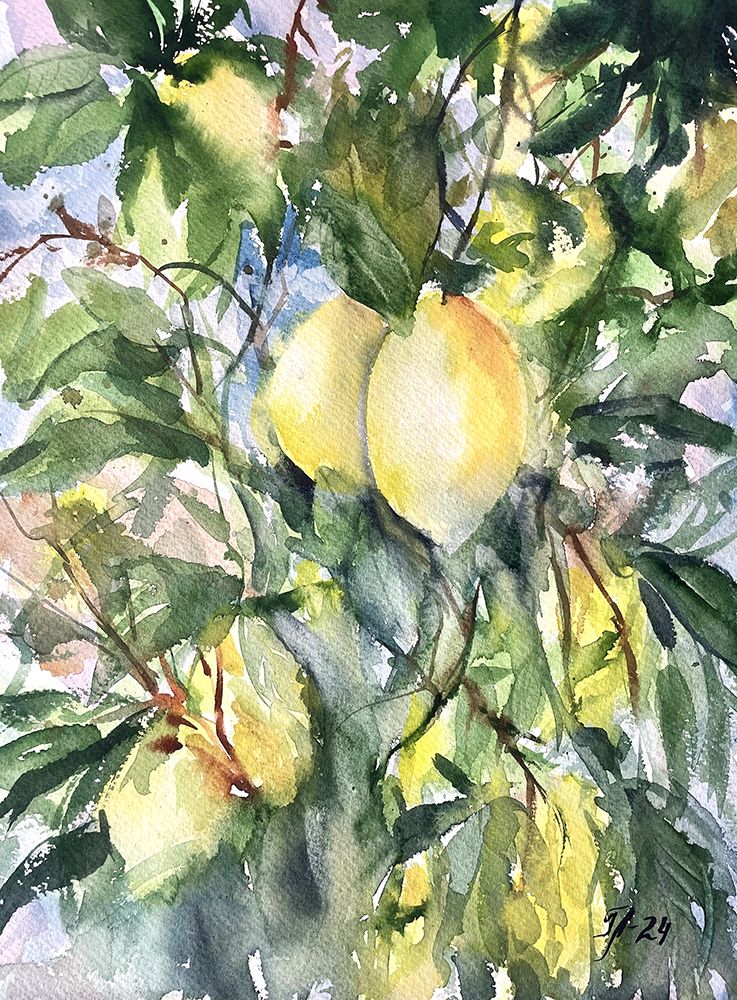 Citroner