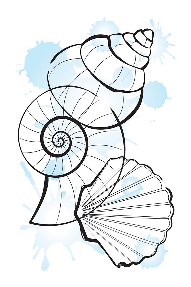 Shells