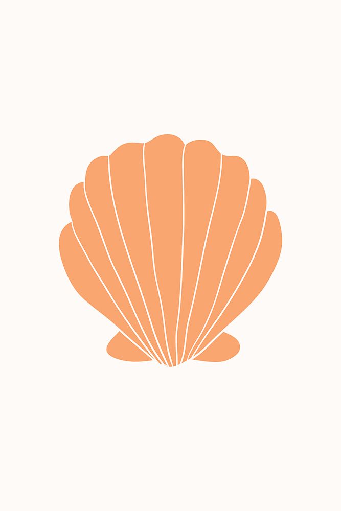 Orangeclamshell Ratio2x3