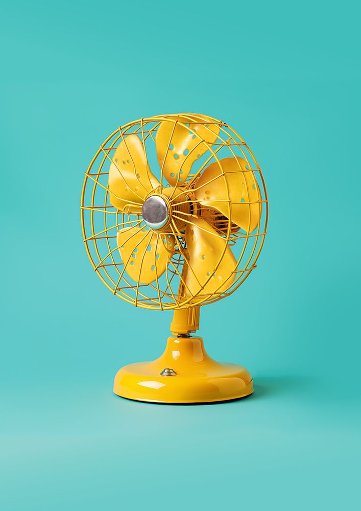 Cheese Fan