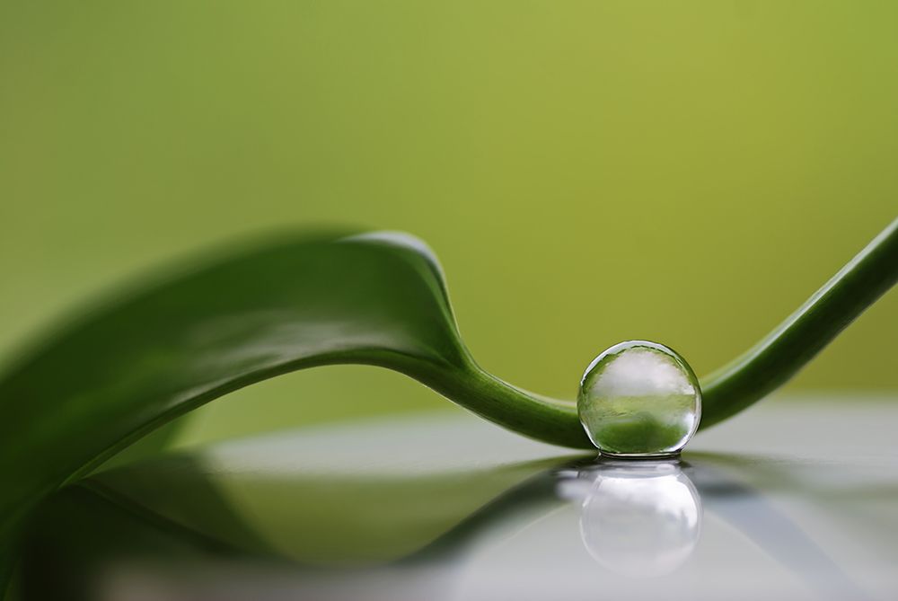 Green Harmony