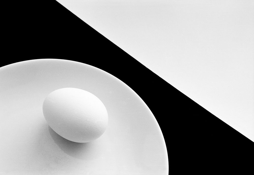 Still Life With Egg