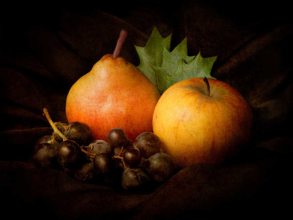 Nature Morte #3