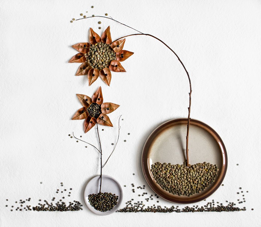 Herbarium...2