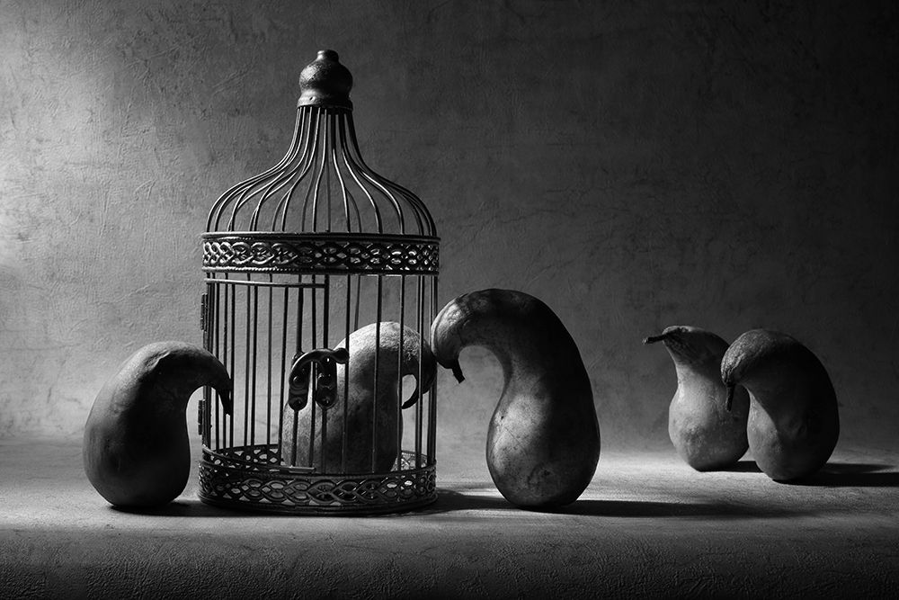 The political prisoner