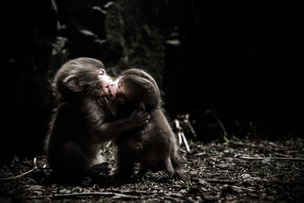 A Little Love Story